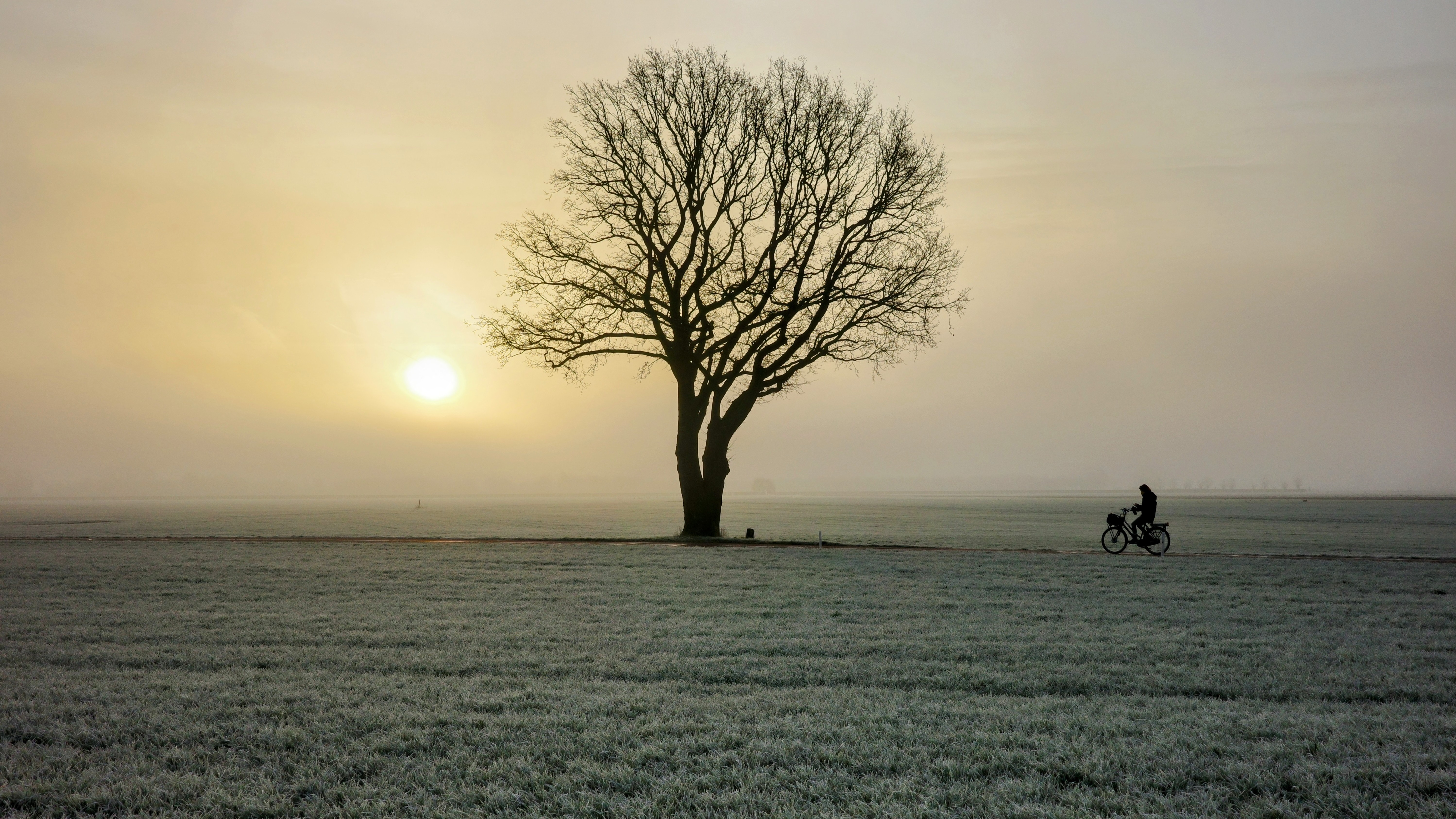 Cold Nights and Sunny Sunday Weather Forecast