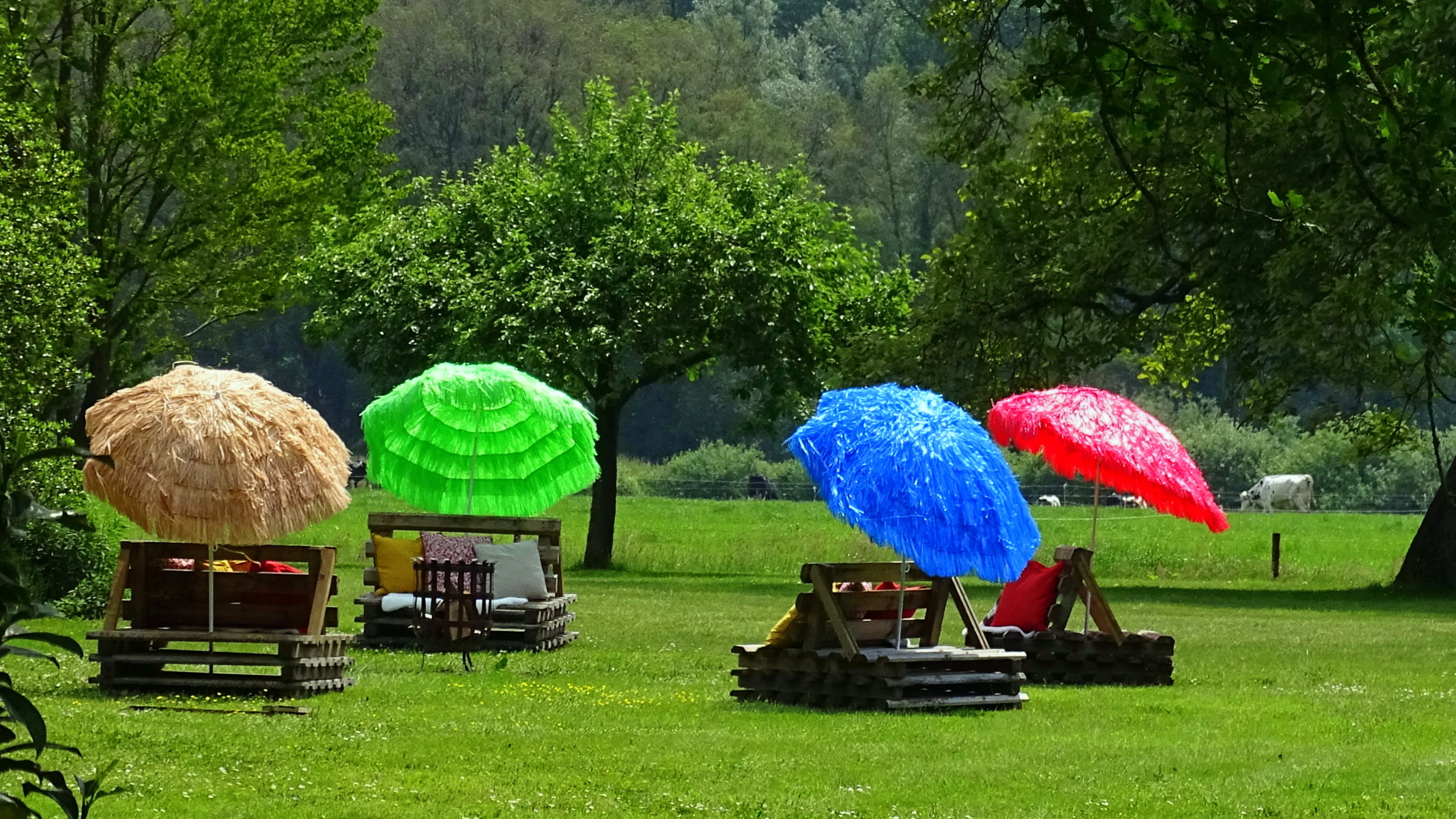 zomer, zon, parasol
Foto: Martin Herms