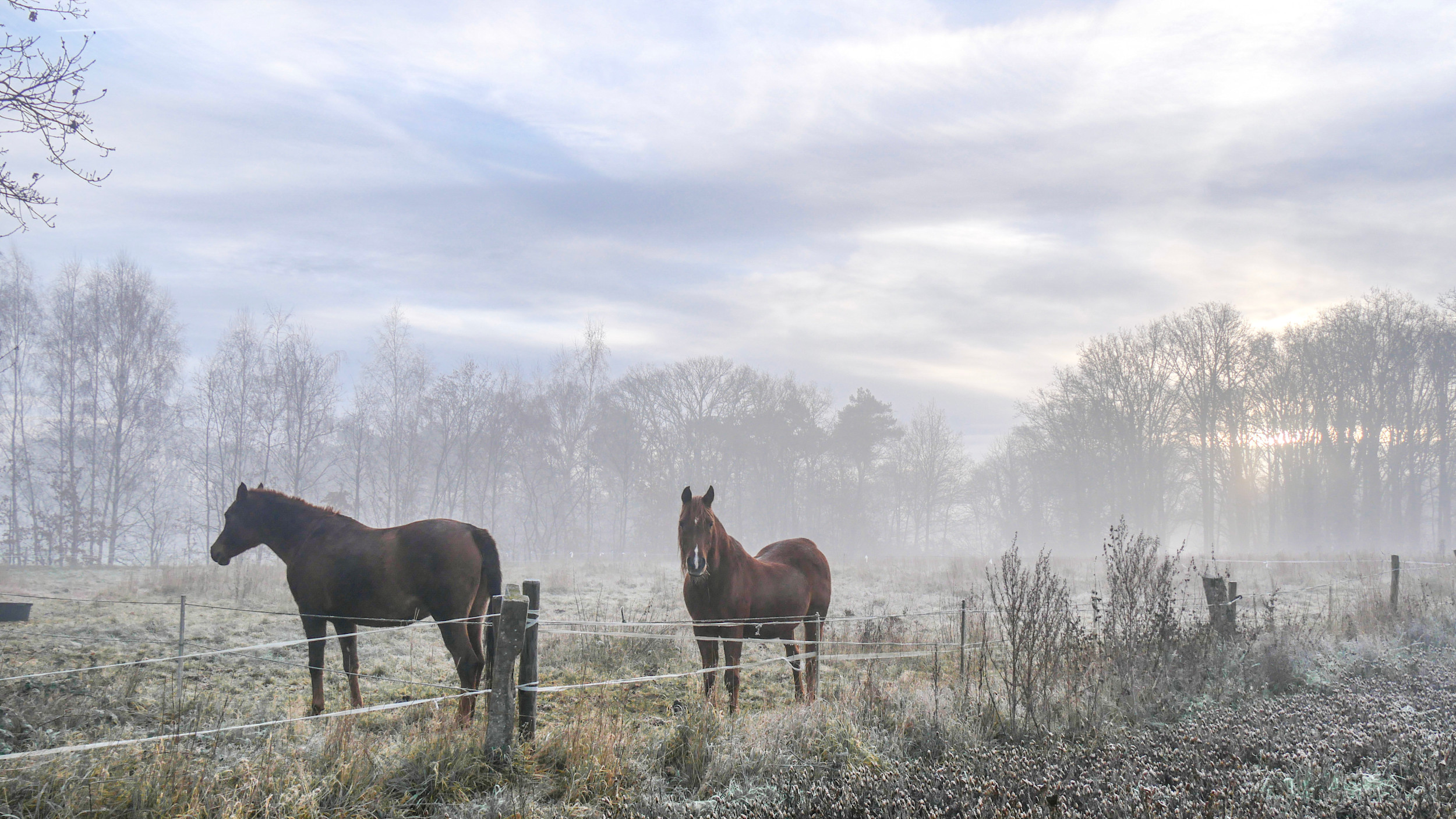 Er komt kouder weer aan! Foto: Jos Hebben.
