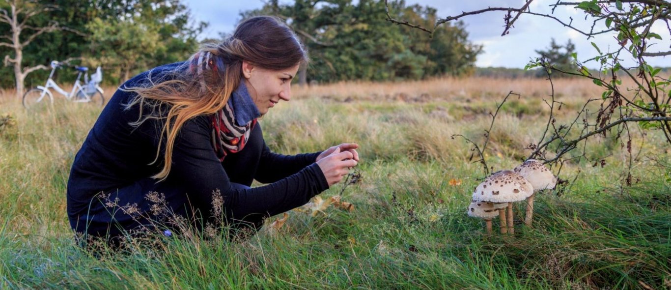De Veluwe. Foto: Jurjen Drenth.