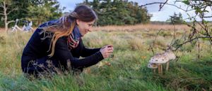 6 tips voor de herfst op de Veluwe