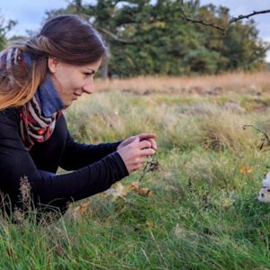 6 tips voor de herfst op de Veluwe