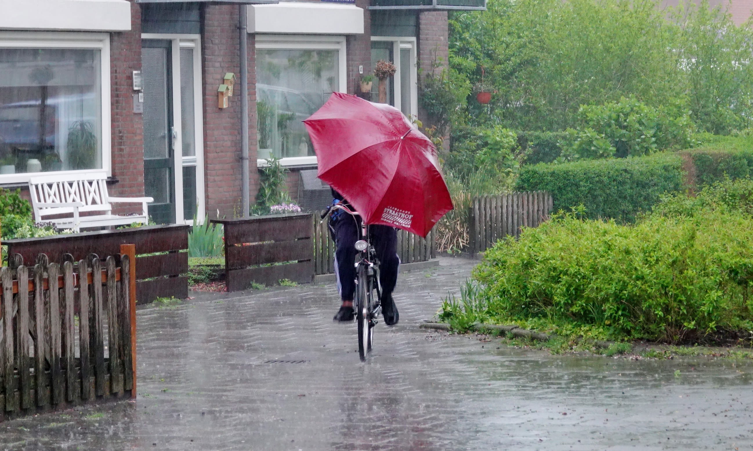 Persoon fietst door een zware bui met paraplu. Foto: Ton Wesselius