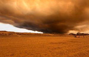 Bosbranden in Frankrijk en Spanje: 80.000 evacuaties, 55.000 hectare verwoest