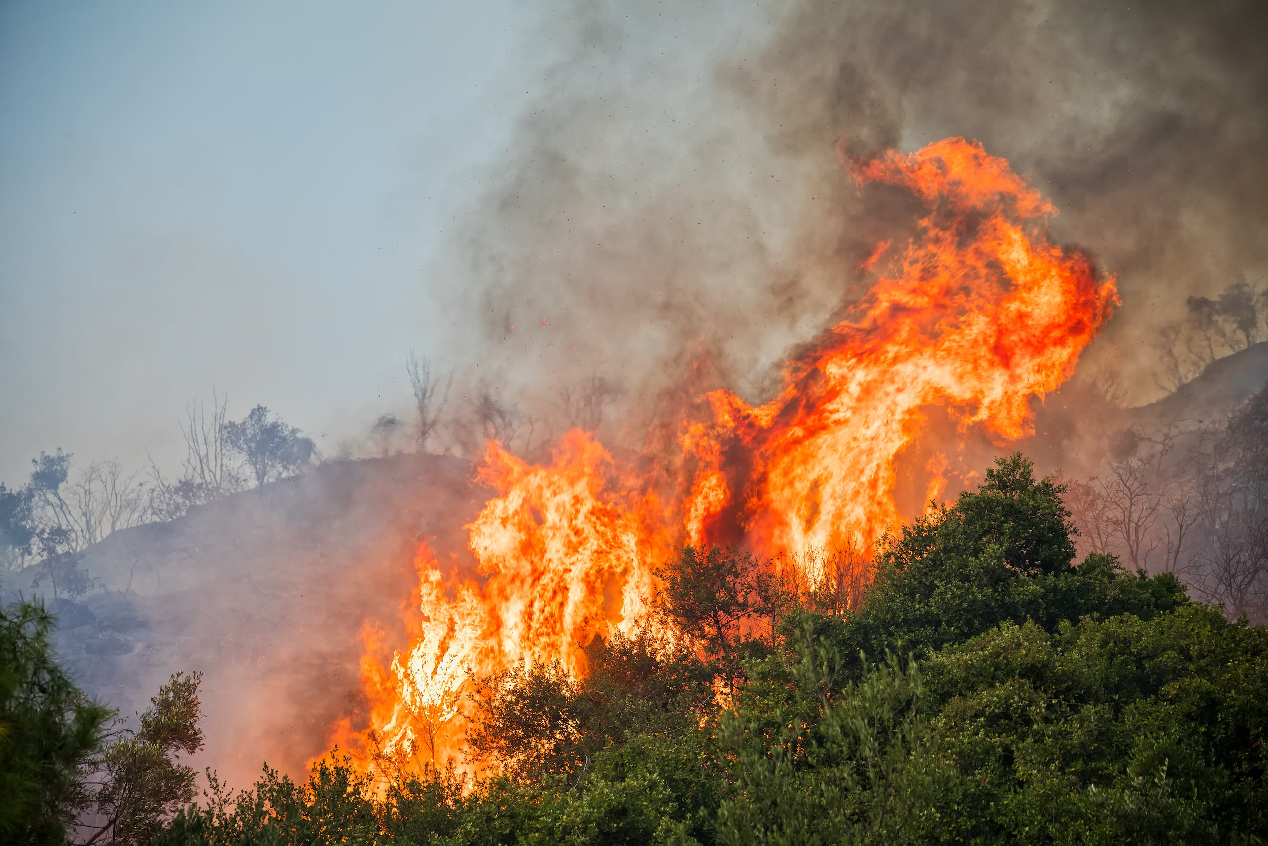 Bosbranden door hitte en droogte rond Middellandse Zeegebied. Foto: Adobe Stock / ververidis