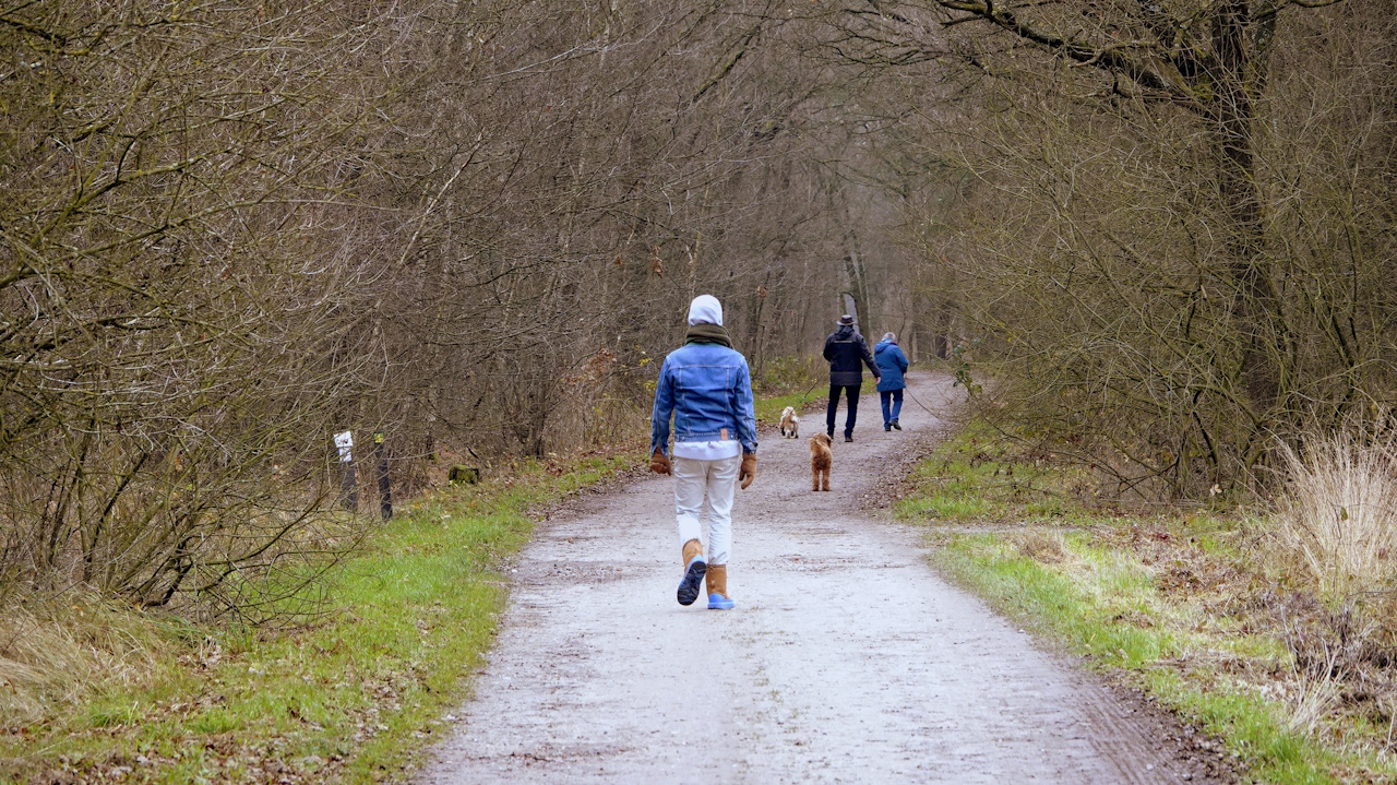 Het is dit weekend prima wandelweer. Foto: Ben Saanen