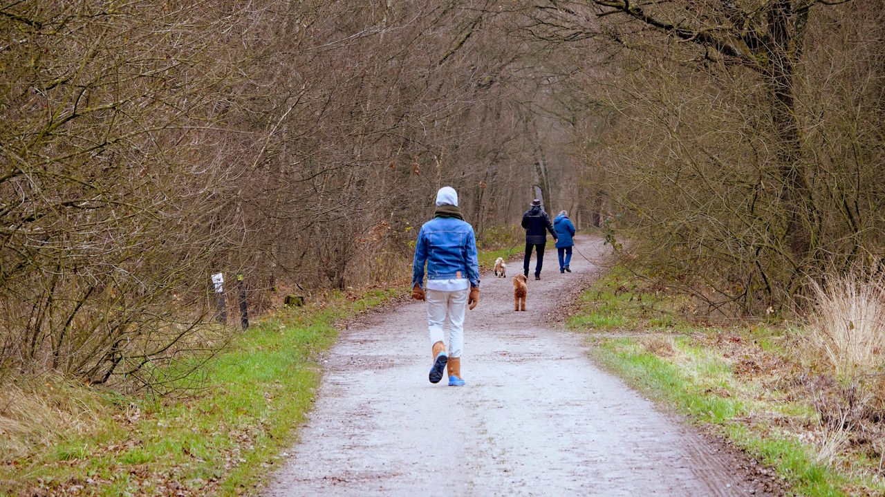 Het is dit weekend prima wandelweer. Foto: Ben Saanen