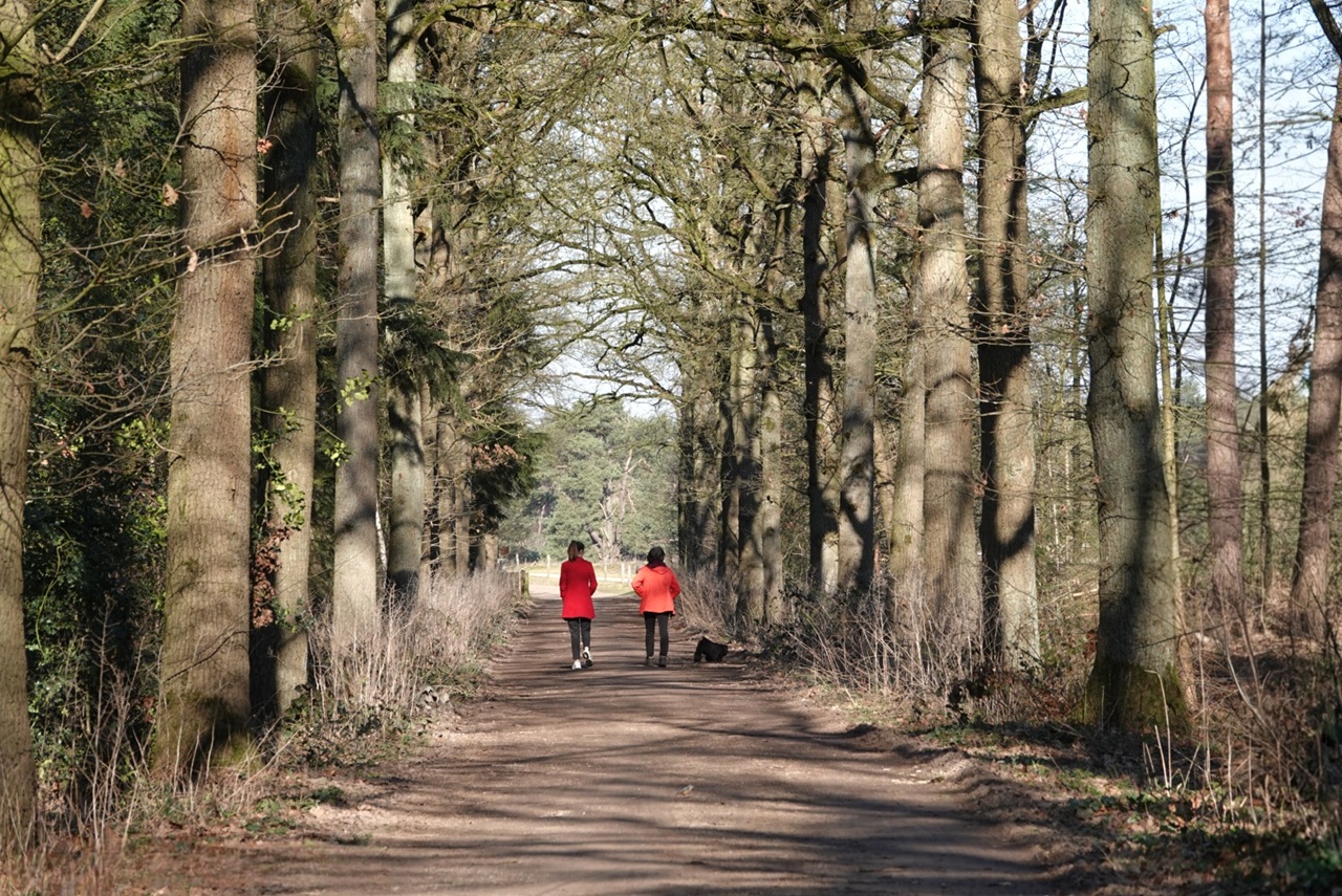 Opnieuw een datum-warmterecord: officieel warmste 5 maart