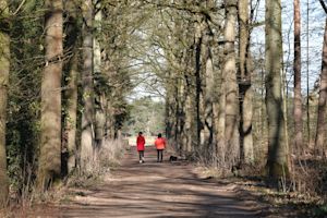 Opnieuw een datum-warmterecord: officieel warmste 5 maart