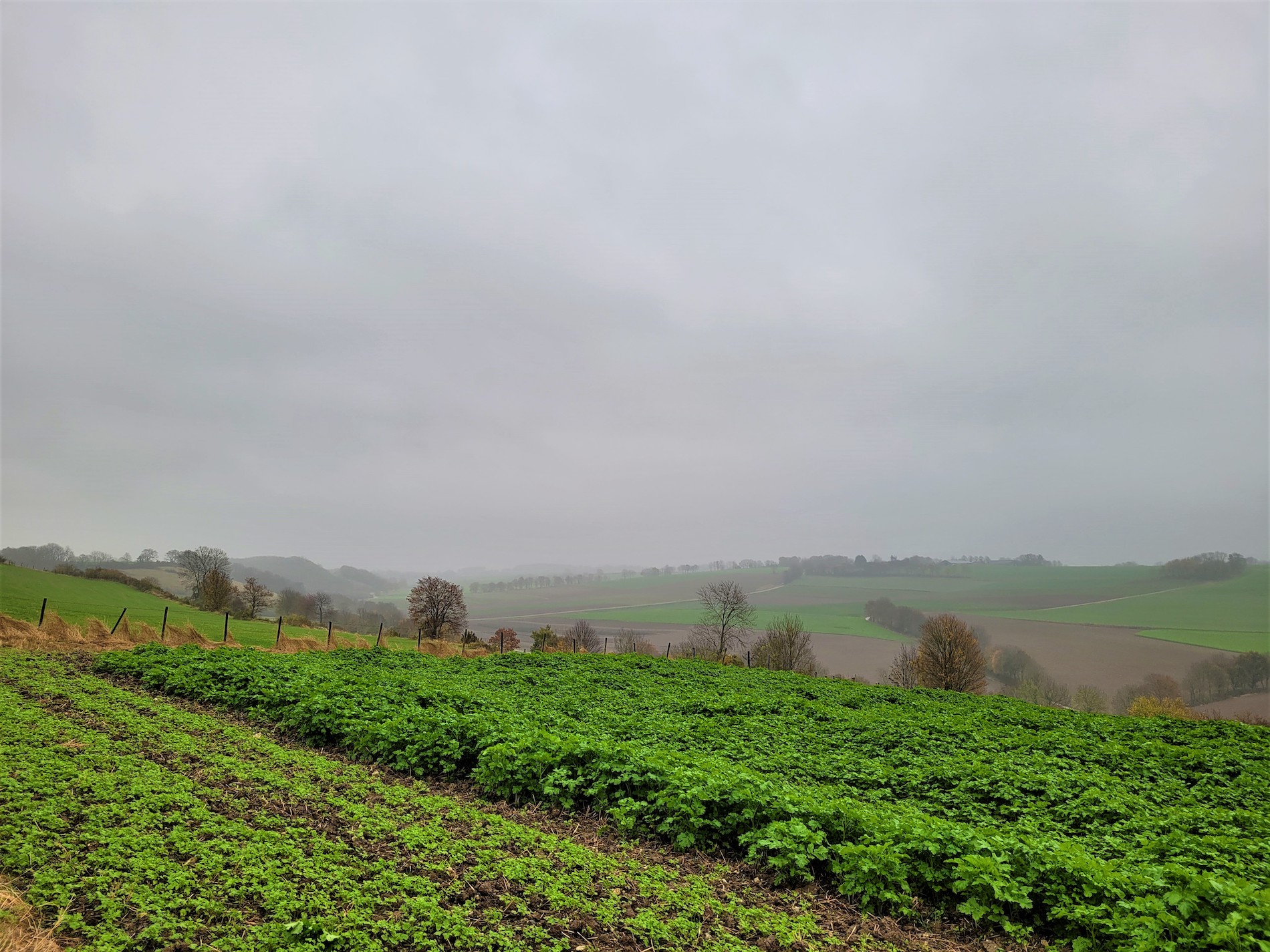 grijs regen, heuvels, limburg