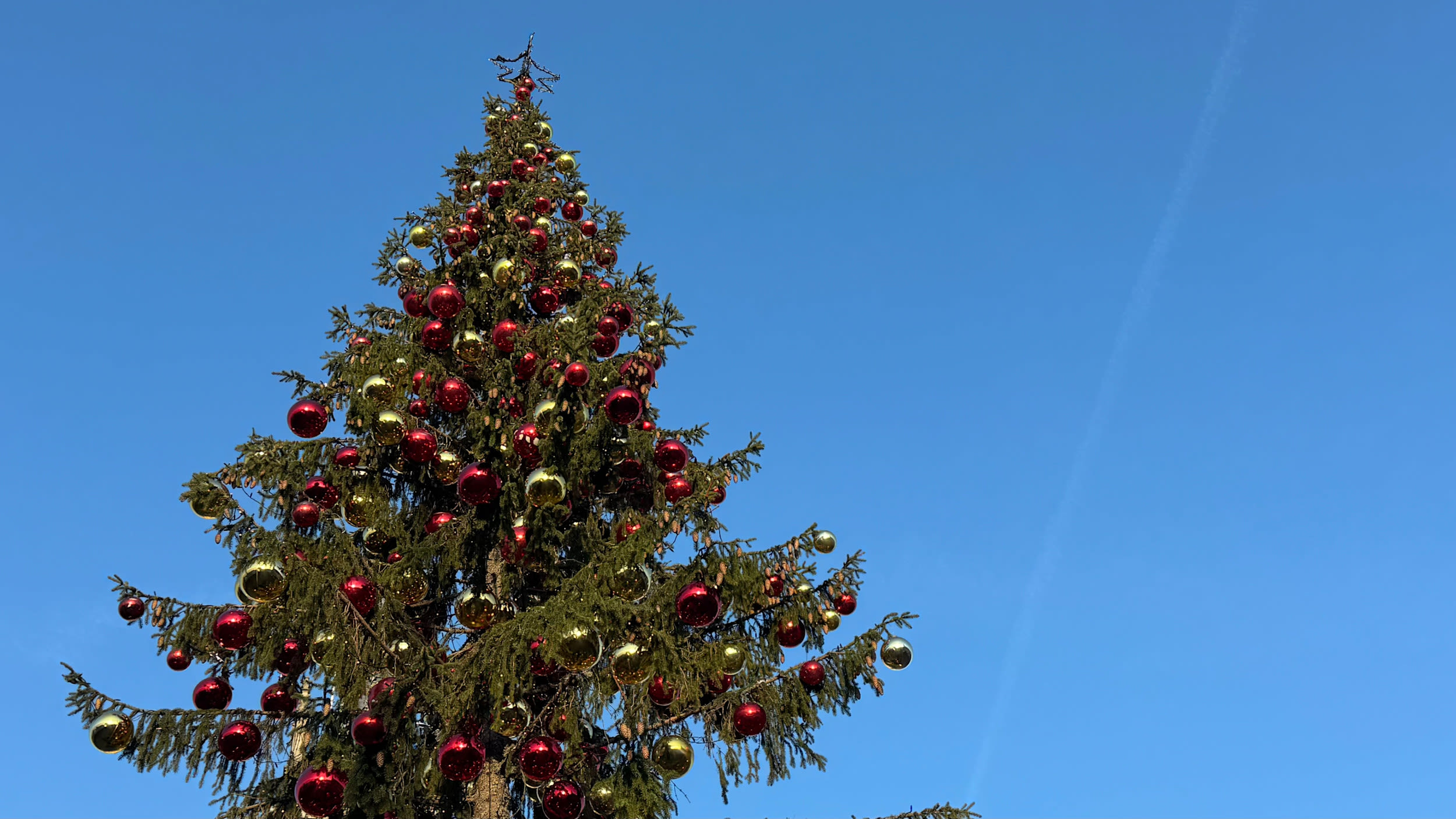 Tijdens de kerstdagen is de zon vaak te zien. Foto: Jolanda Bakker.