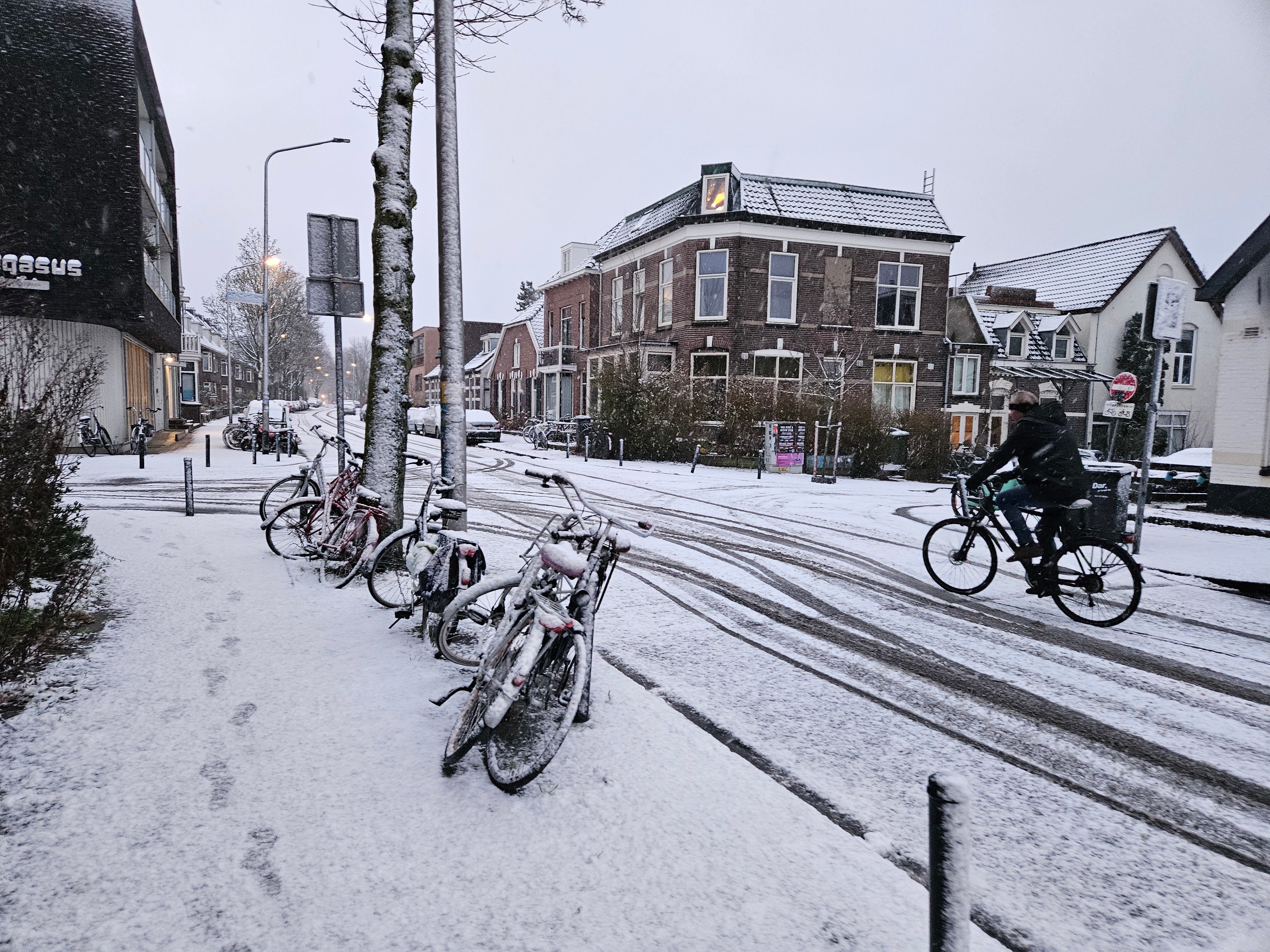 Sneeuw in Nijmegen. Foto: Eric Van Haalen