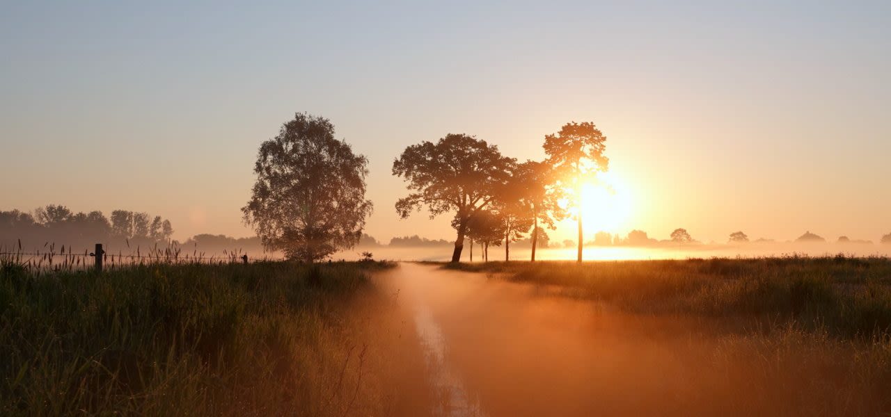 Ben-Saanen-koude-ochtend-met-grondmist-1280x600