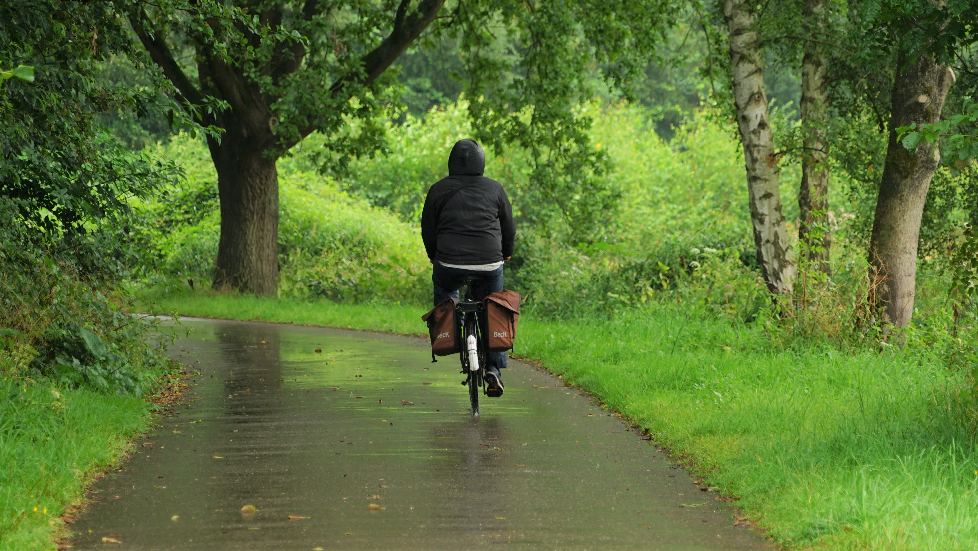 Na een natte lente ook nat en koel in de zomer? Foto: Toon Boons