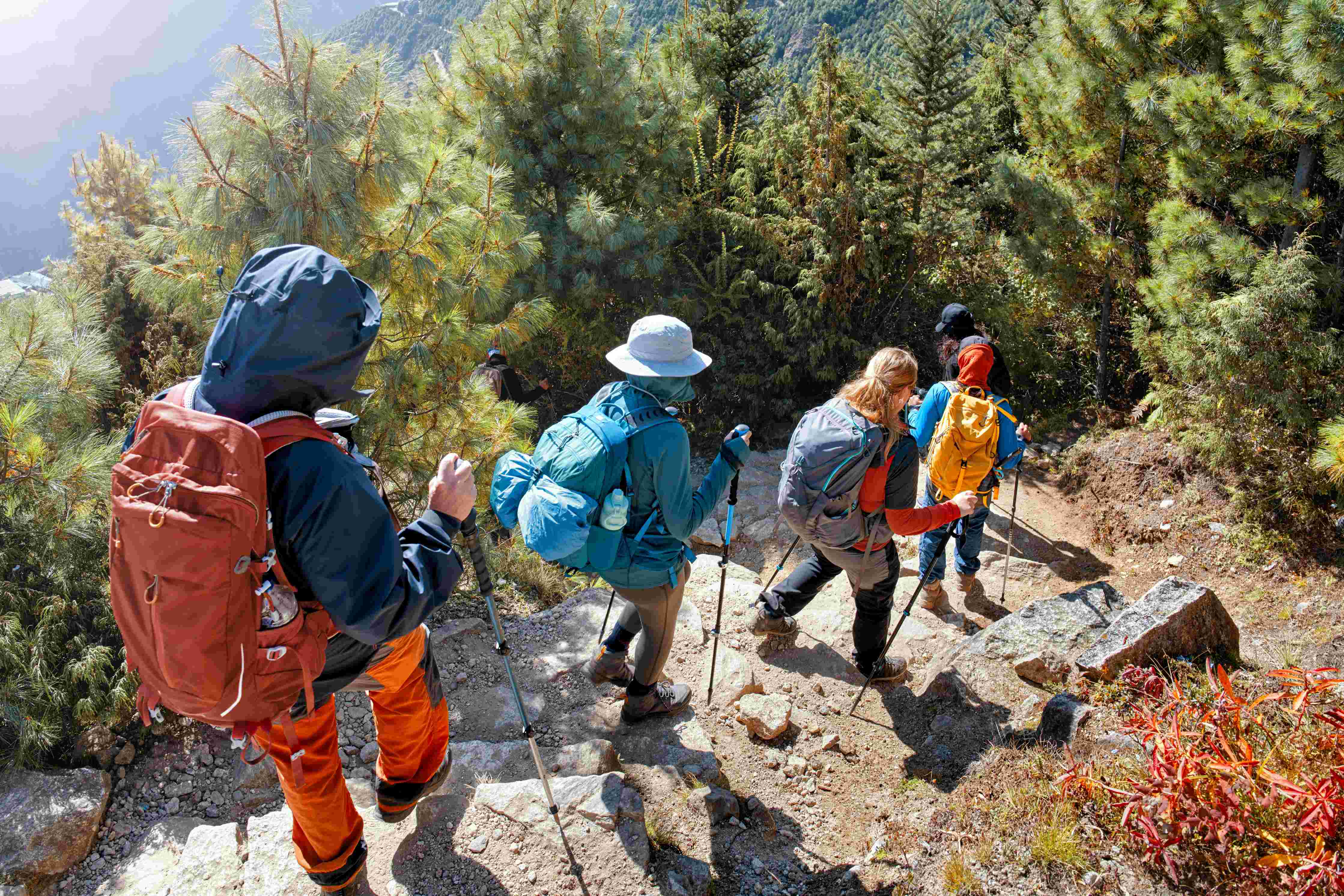 Randonnée en montagne : conseils pour la descente
