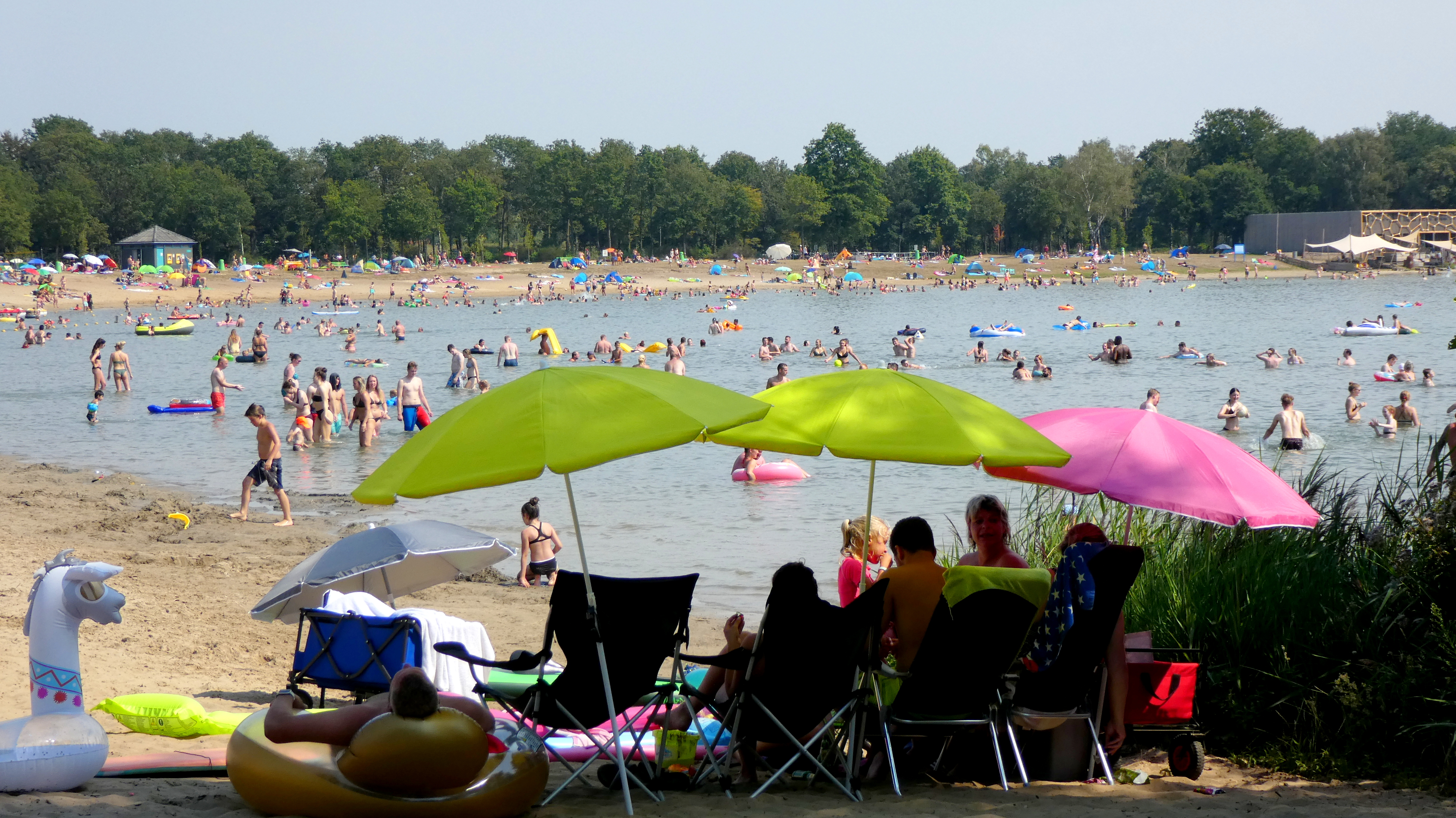Zwemmen tijdens heet zomerweer. Foto: Willy Bonnink-Naves