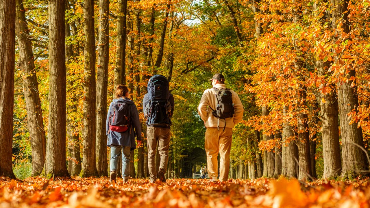 Herfstverwachting: wordt het kletsnat?