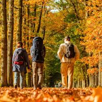 Herfstverwachting: wordt het kletsnat?