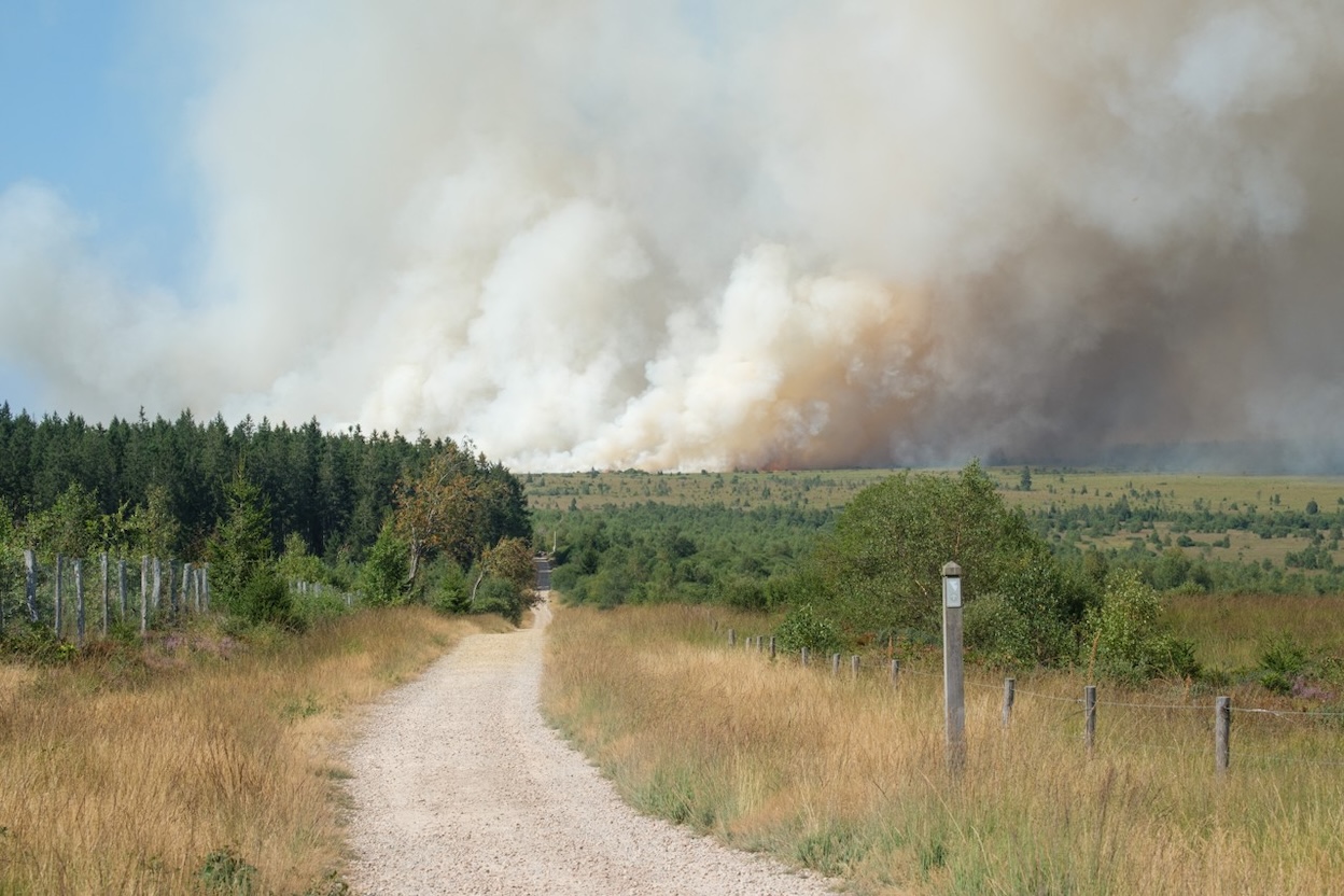 Evacuaties rond Belgisch natuurgebied Hoge Venen om natuurbrand 