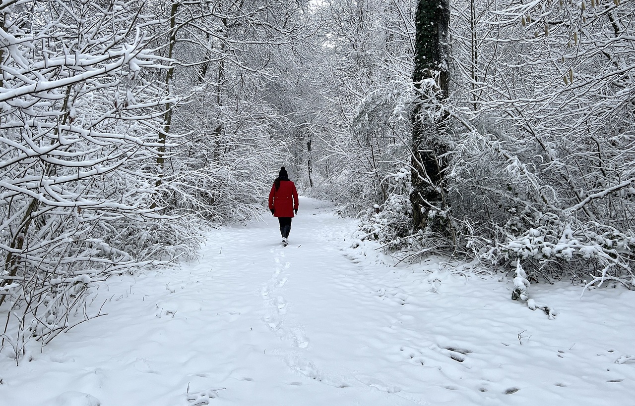 Dit is normaal weer in de Belgische winter