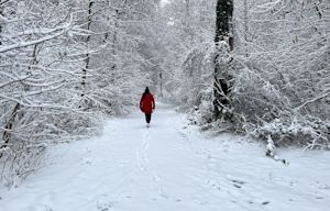 Dit is normaal weer in de Belgische winter