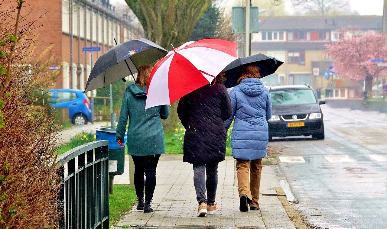 De lente was de op twee na natste en de paraplu was vaak nodig. Foto: Ton Wesselius
