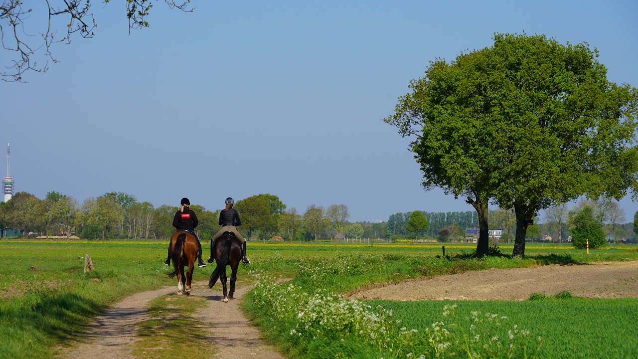 April was een zonnige maand. Foto: Toon Boons