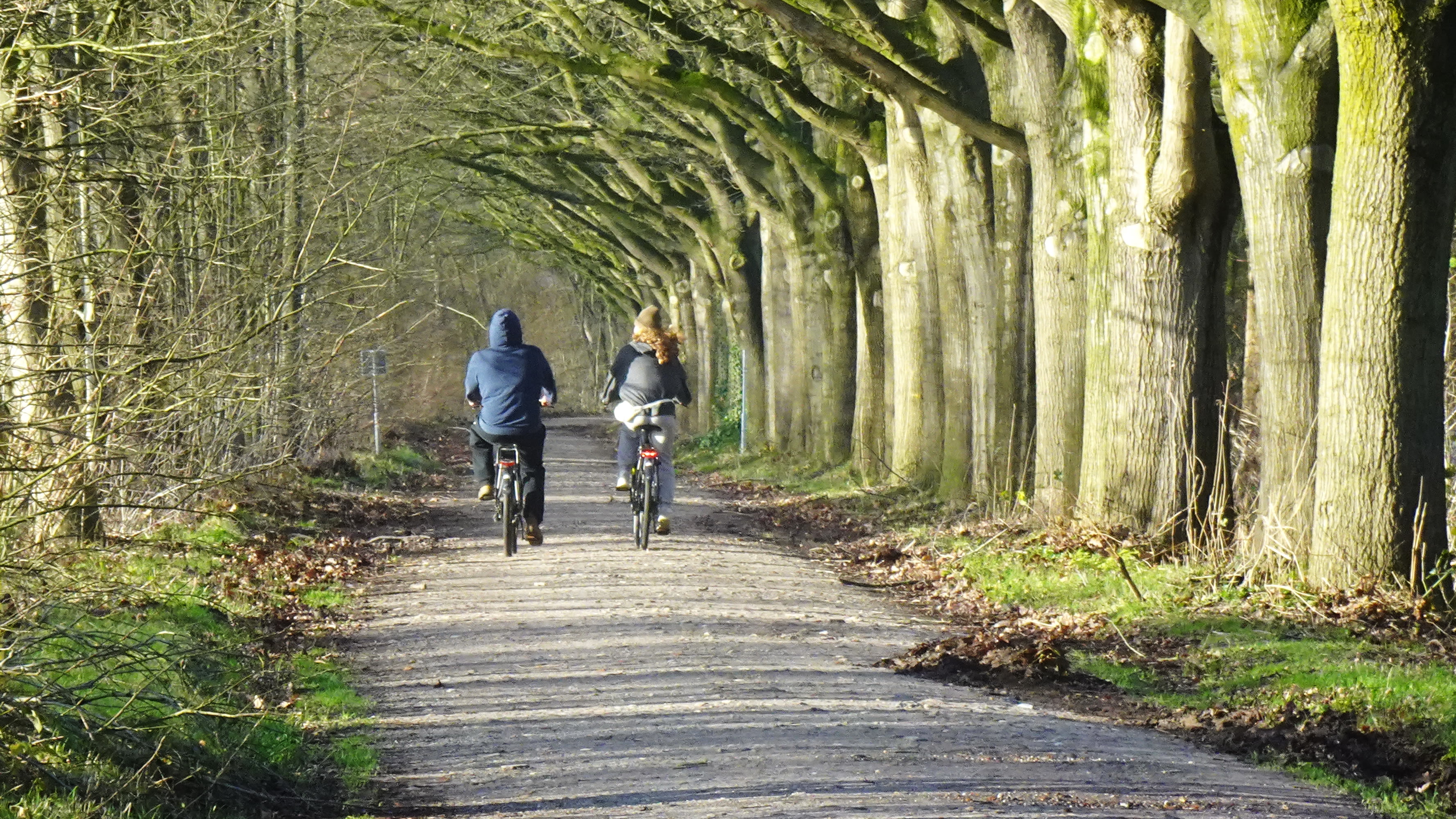 Prima fietsweer. Foto: Peter van der Schoot