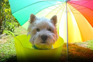 Het is officieel de warmste 14 augustus