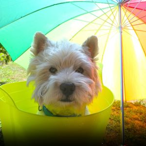 Het is officieel de warmste 14 augustus