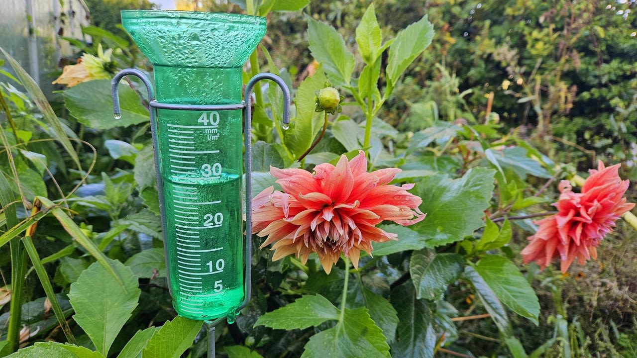 De regenmeters worden de laatste maanden steeds goed gevuld. Foto: Nely V Frankenhuyzen