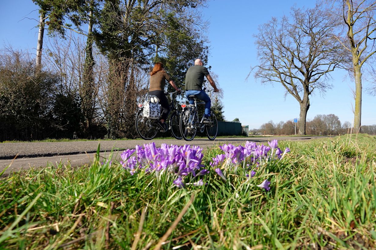 Fietsen tijdens zonnig voorjaarsweer. Foto: Ben Saanen
