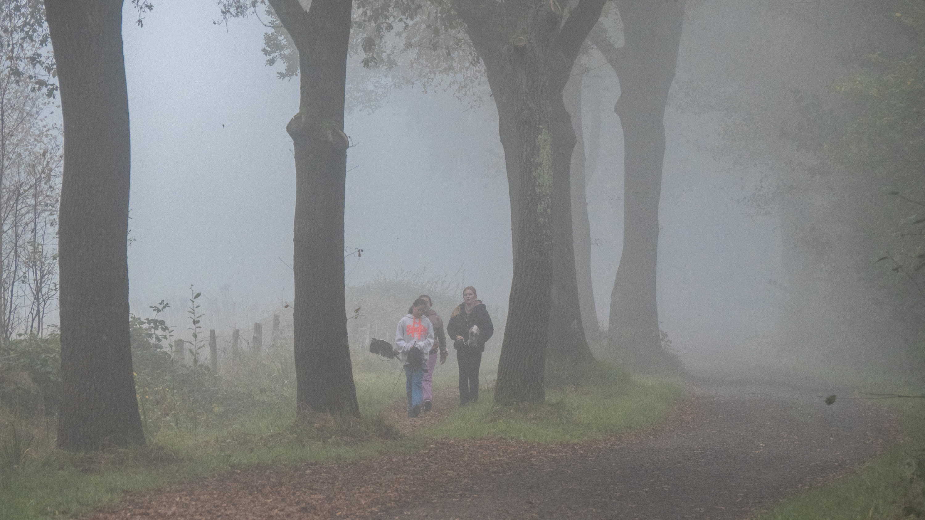 Dichte mist. Foto: Jos Hebben