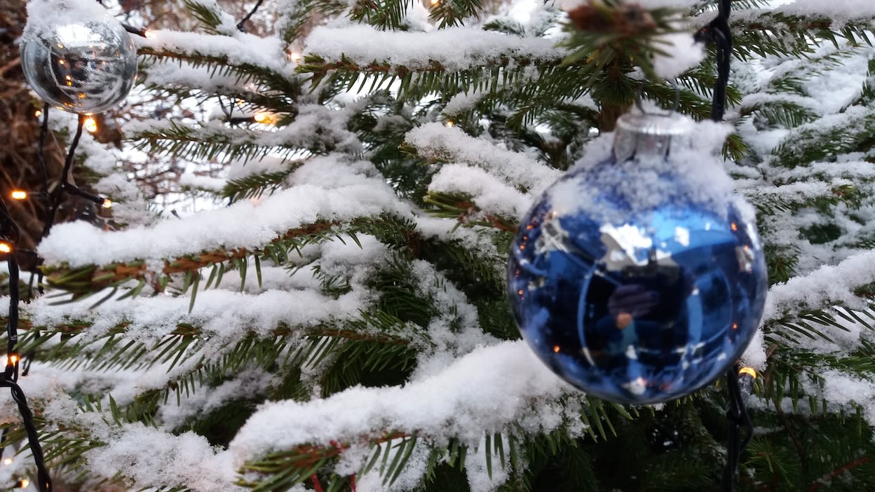 Besneeuwde kerstboom. Foto: Tiny Post