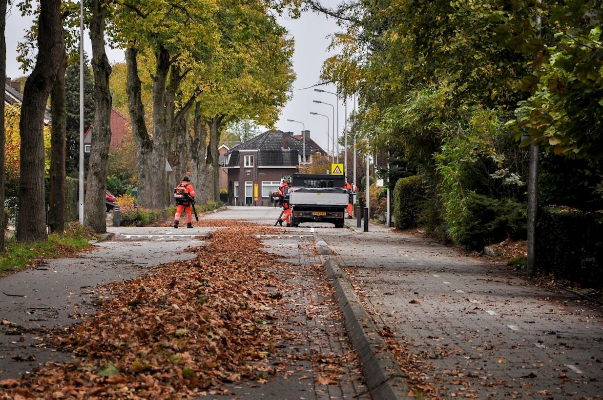 Bladval in de herfst. Foto: Jos Hebben.