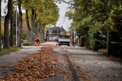 Dit is wanneer bomen hun blad verliezen