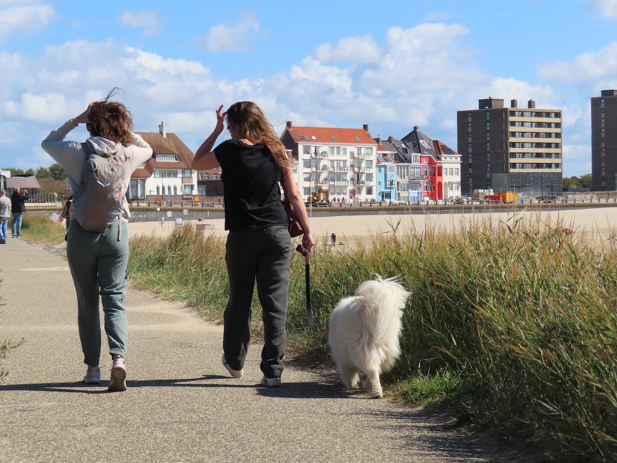Maandverwachting: zo groot is de kans op nazomerweer