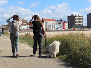 Maandverwachting: zo groot is de kans op nazomerweer