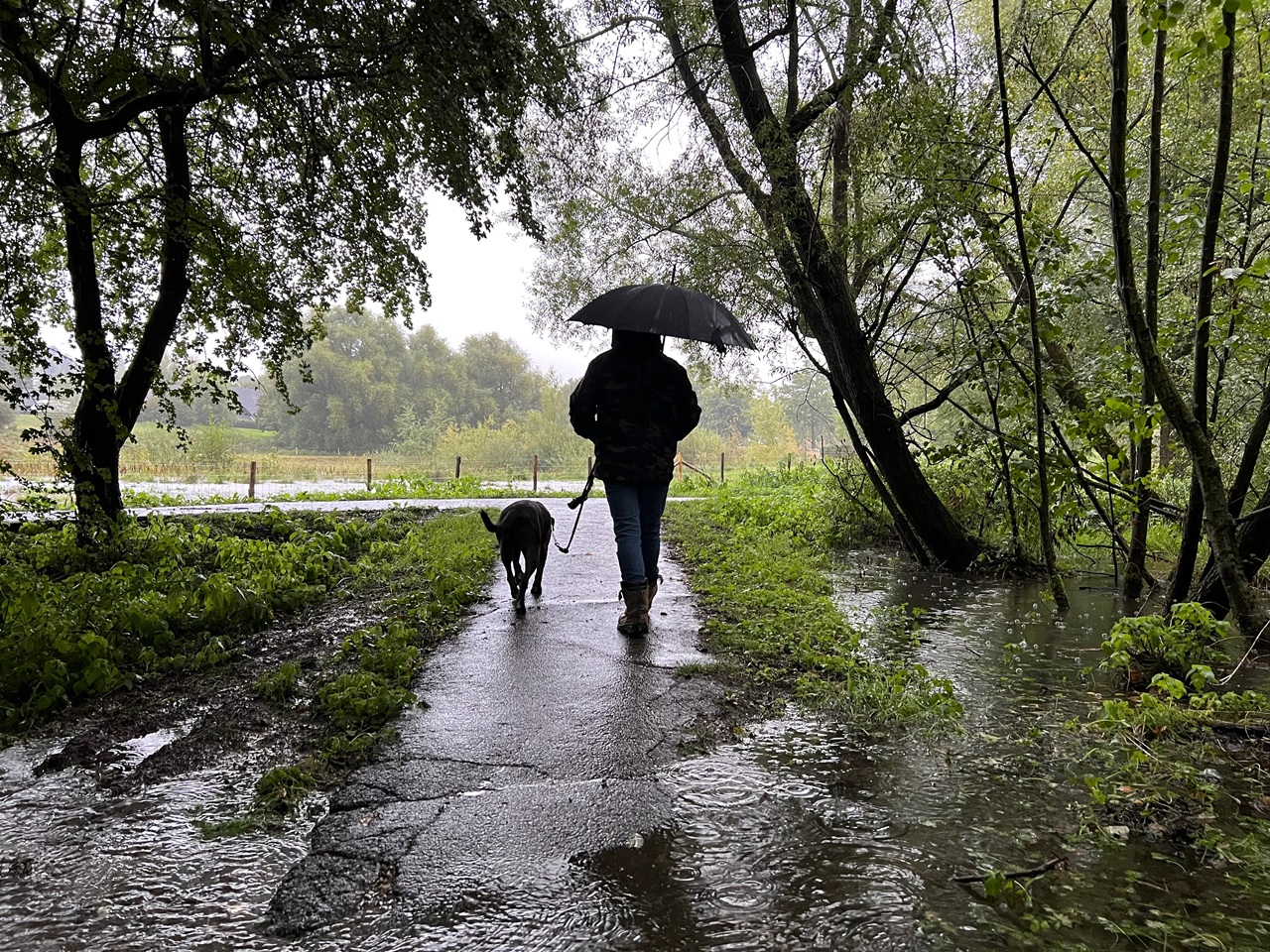 Een natte dag met een lage temperatuur. Foto: Diana Huntjens