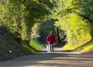 Weekendweer: warm, maar soms ook grijs