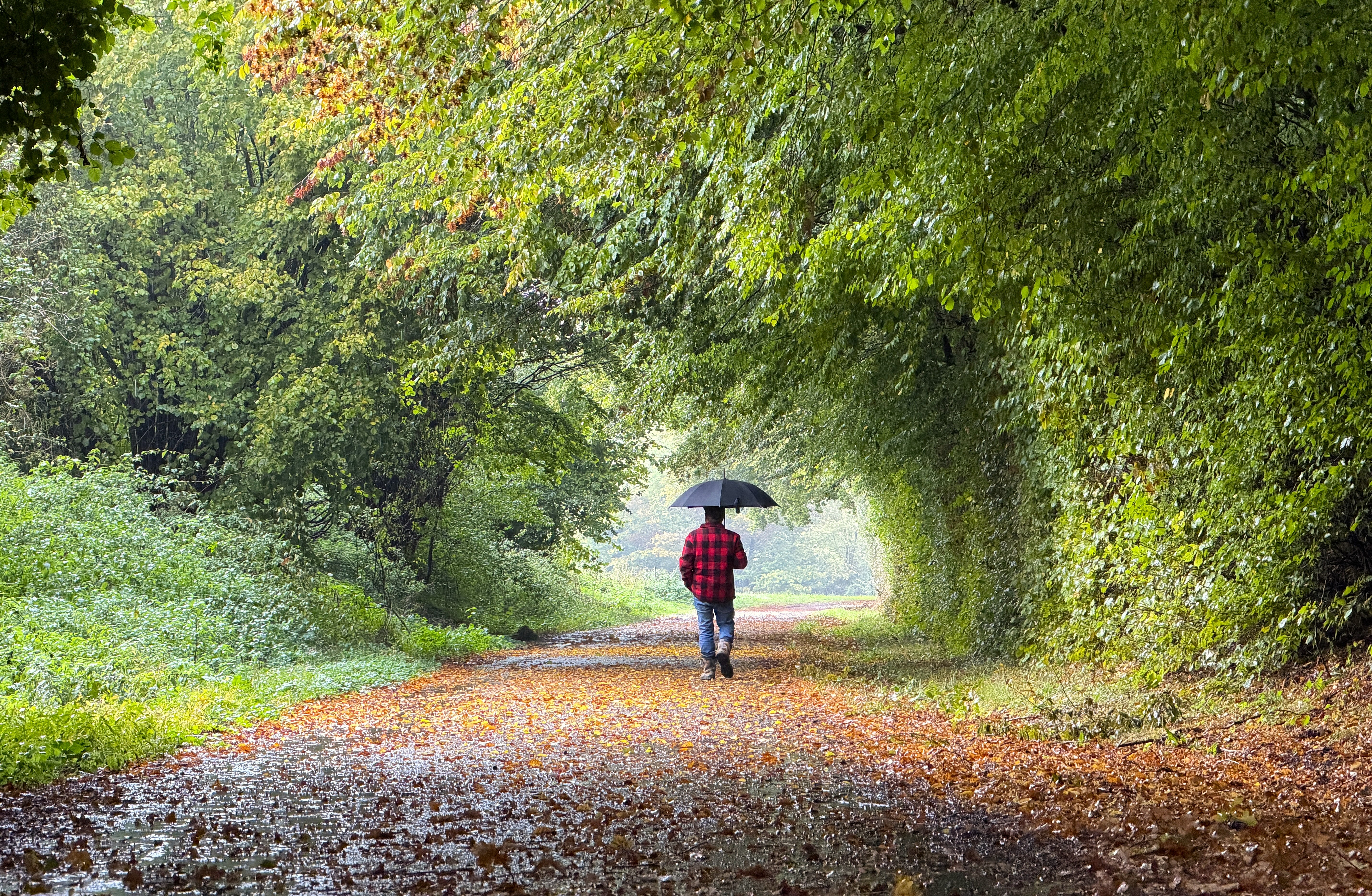 Ook zondag komt de paraplu tijdens een wandeling goed van pas. Foto: Diana Huntjens