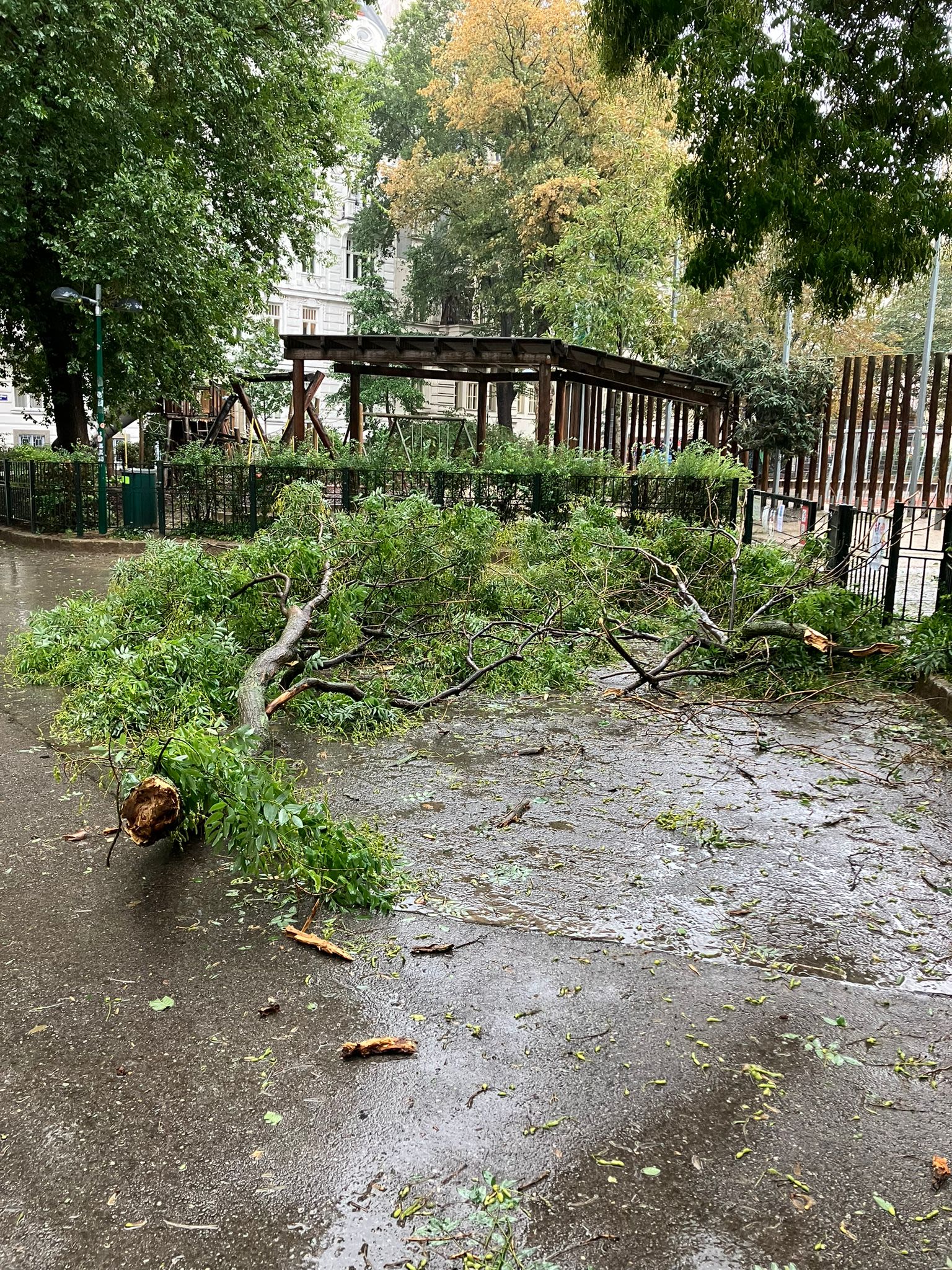 Stormschade in Wenen door storm Boris. Foto: Maarten Verdaasdonk