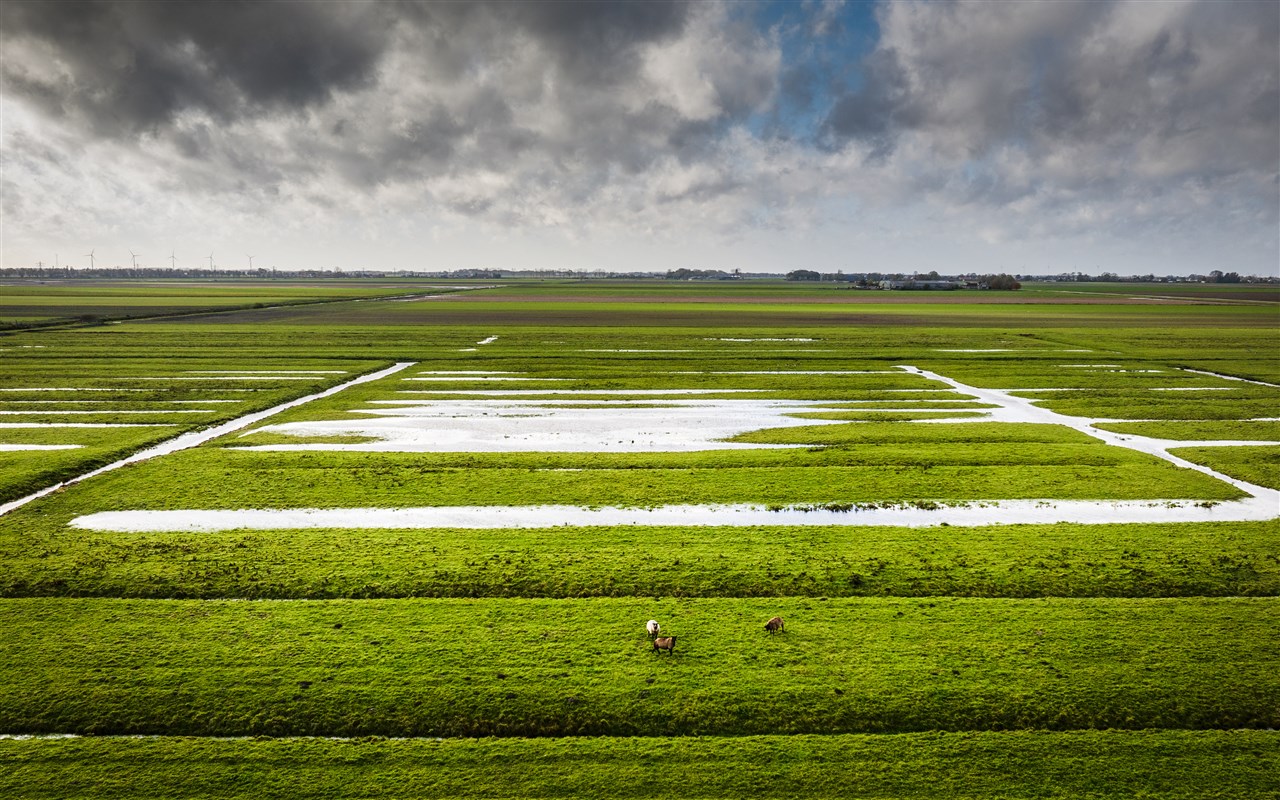 Ondergelopen weilanden door regenval. Foto: ANP / Jeffrey Groenweg.