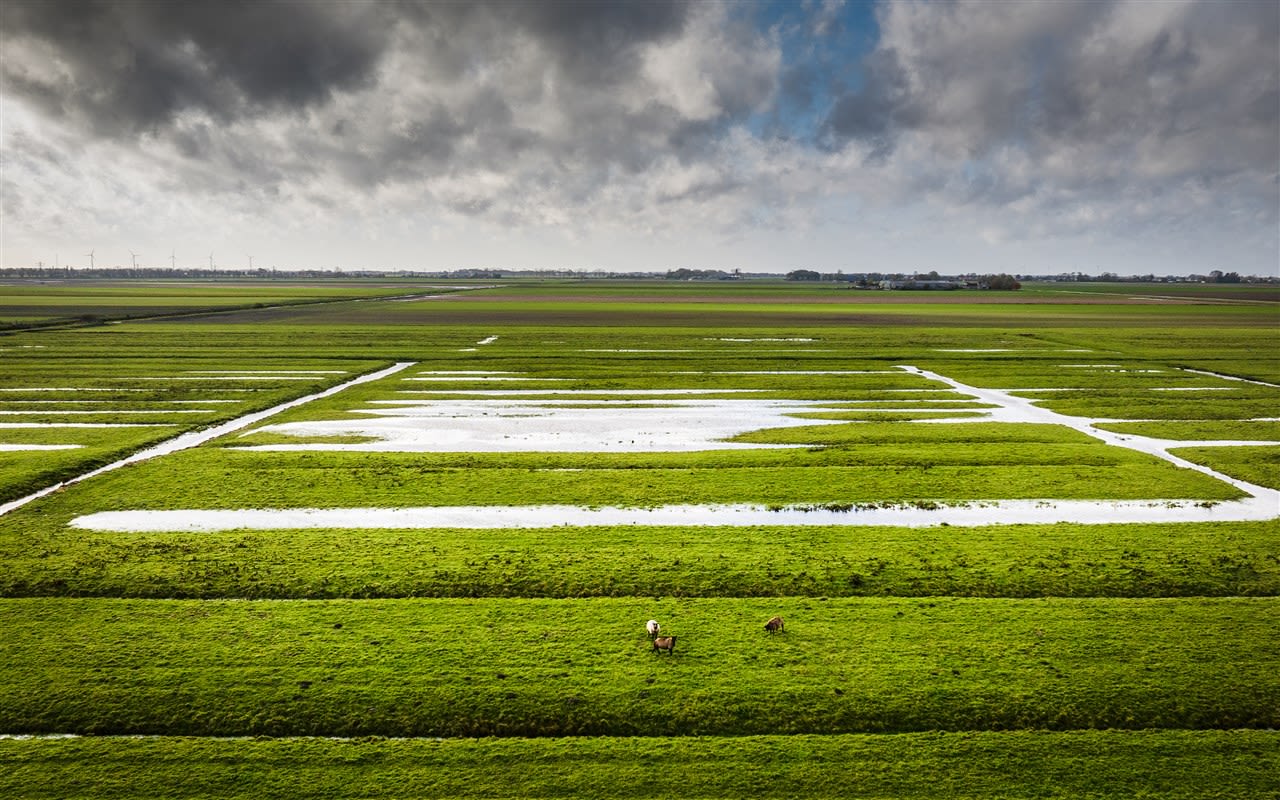 Ondergelopen weilanden door regenval. Foto: ANP / Jeffrey Groenweg.
