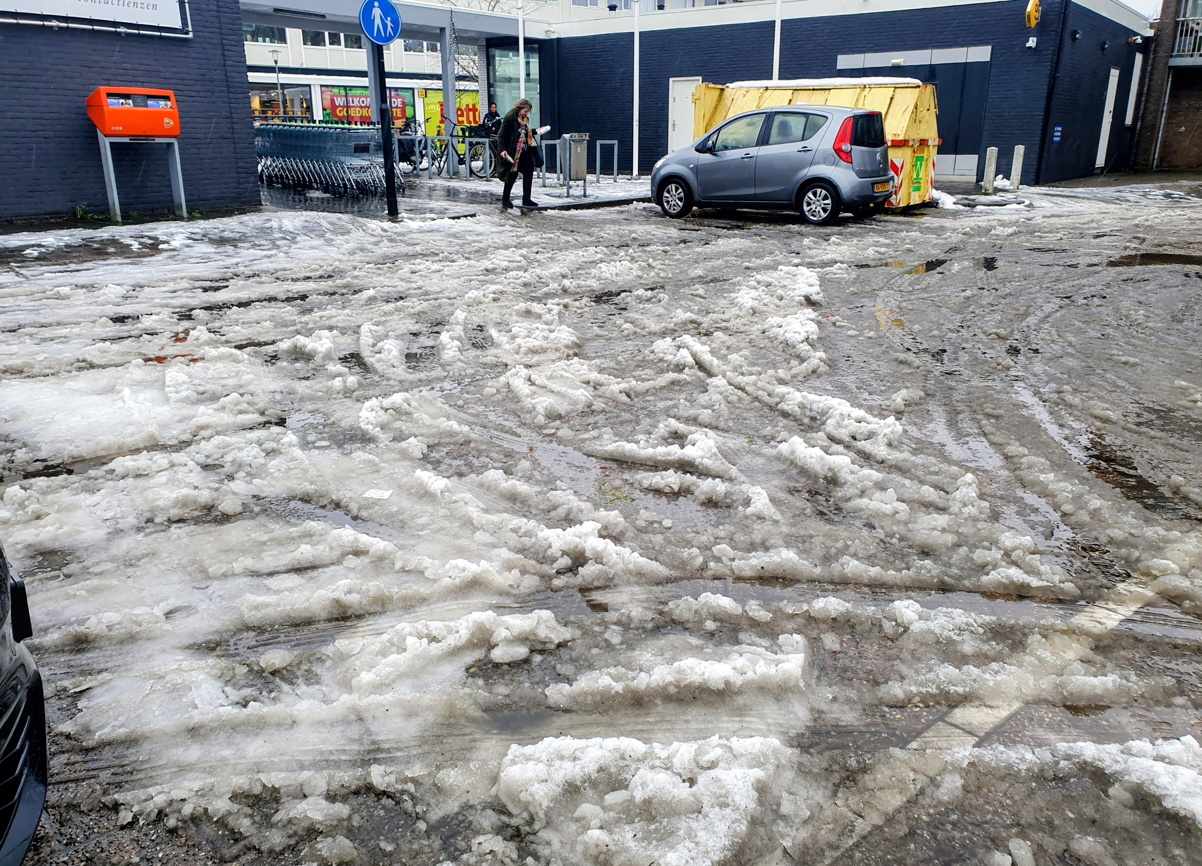 Glad door sneeuwdrab. Marianne Steenbergen