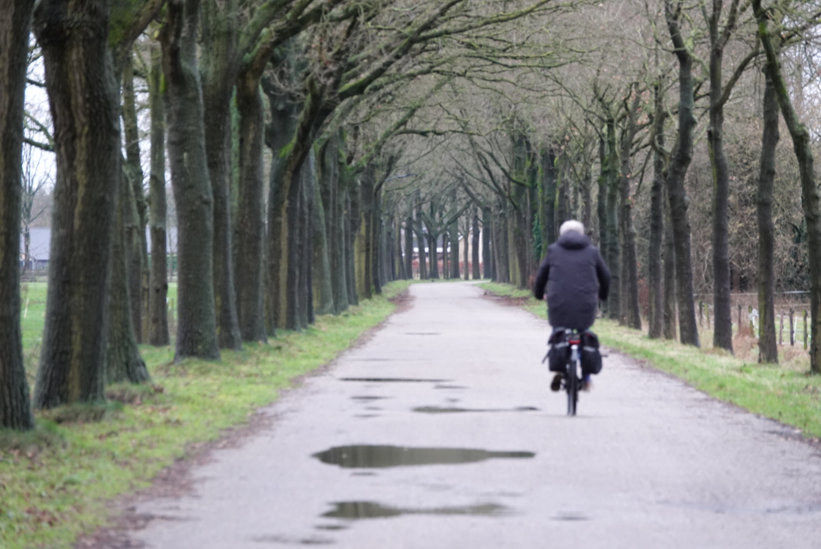 December verliep ronduit nat. Foto: Willem van Nunen