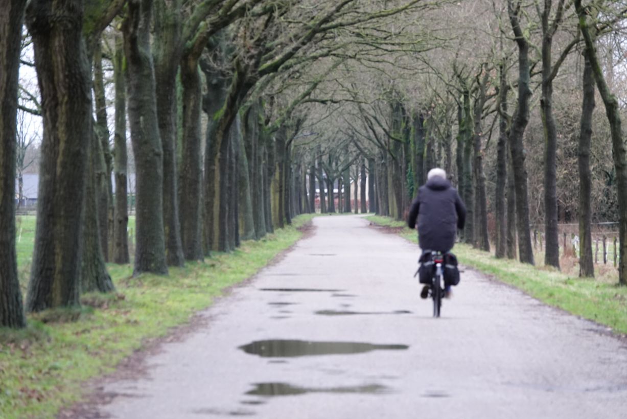 December verliep ronduit nat. Foto: Willem van Nunen