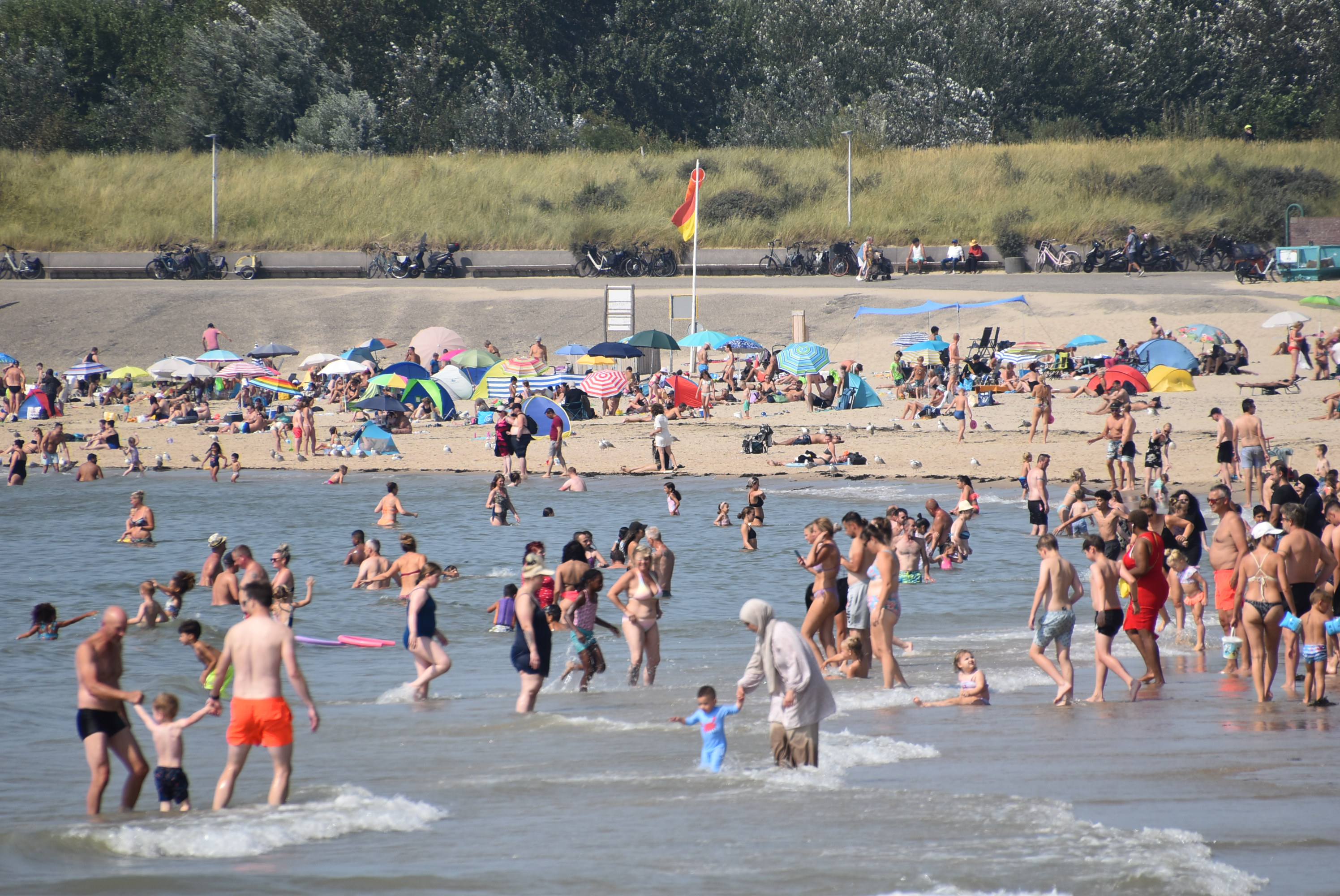 Zomerse taferelen tijdens het lange pinksterweekend!
