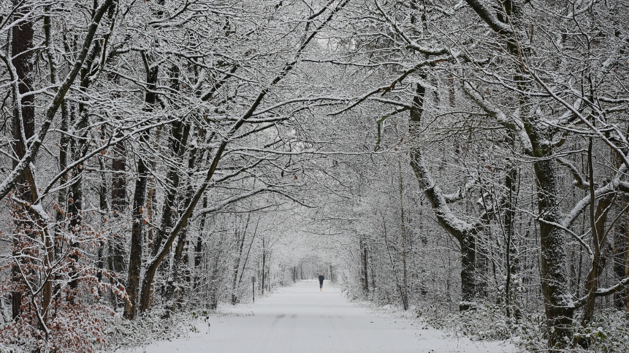 Januari was vrij gebruikelijk met flink wat sneeuw