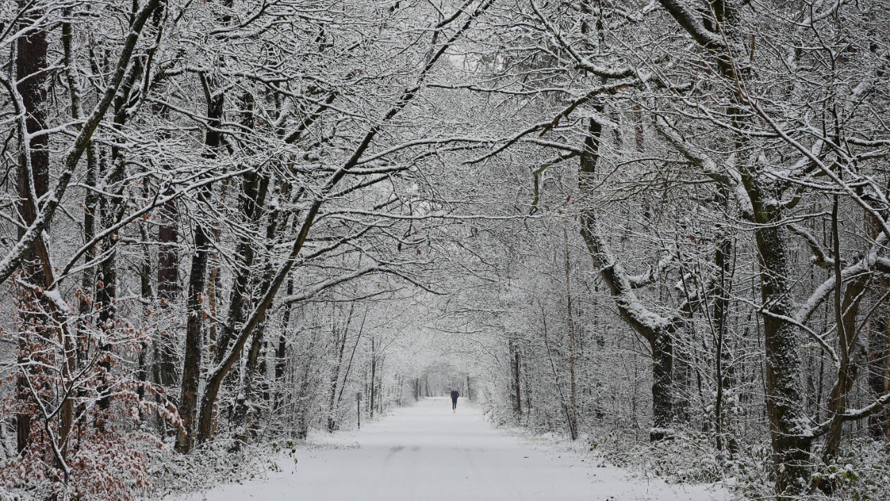 De sneeuw levert mooie plaatjes op! Foto: Alex van den Akker